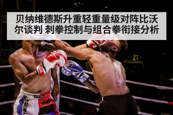 boxer training gloves